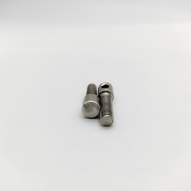 304 SS Slotless Lead Sealing Screws - installed in utility meter application