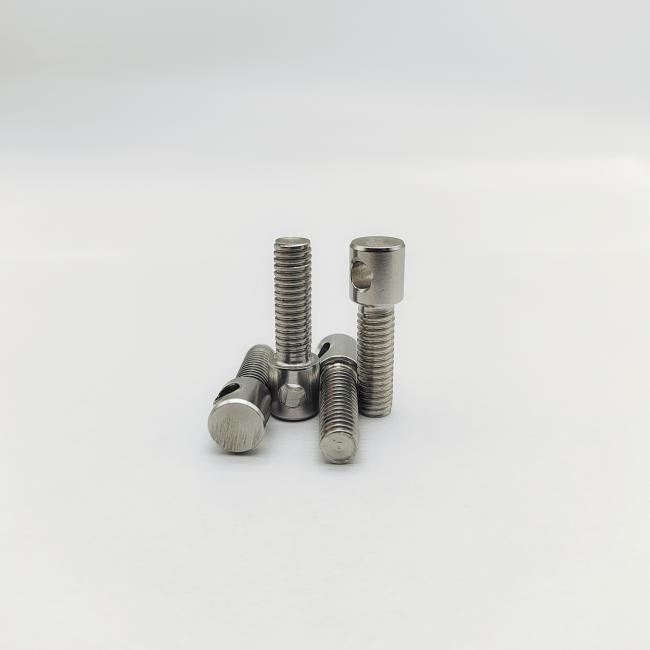 304 SS Slotless Lead Sealing Screws - close-up view showing round head with hole