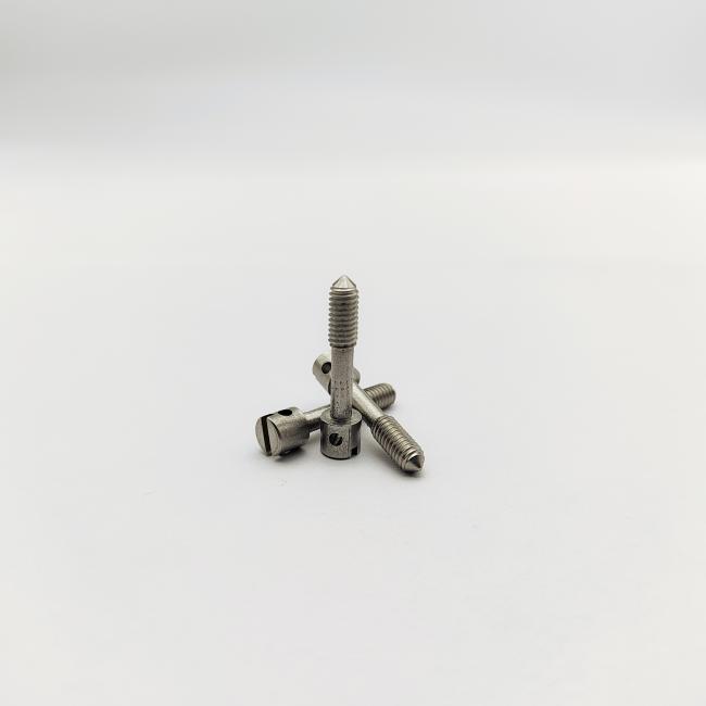 Lead Sealing Screws in use on electric meter