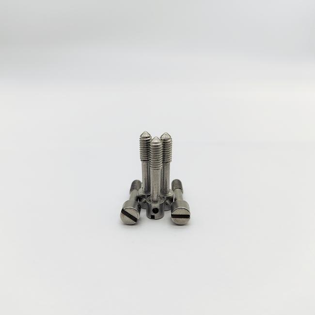 304 Stainless Steel Slotted Lead Sealing Screws