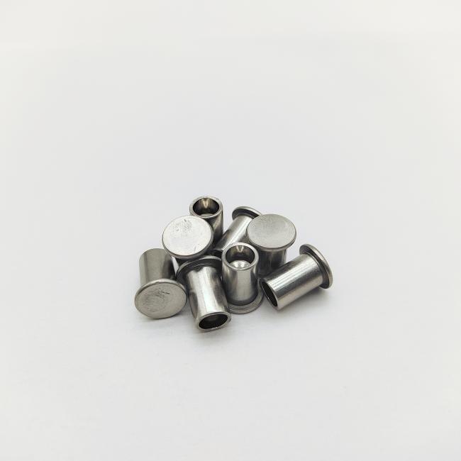 Close-up of 316L stainless steel semi-tubular rivets showing flat head design