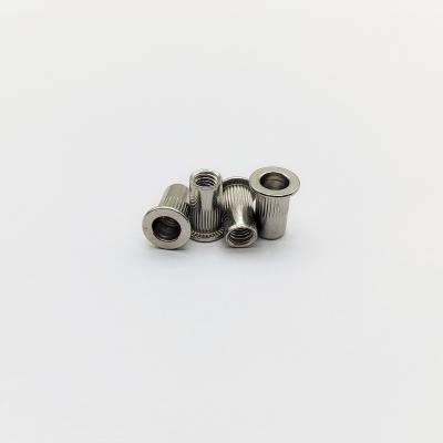 China Nozes de rivetas de aço inoxidável 304 M4 a M8 para painéis finas à venda