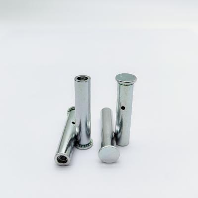 China Stainless Steel Flat Head Rivet Nut M3-M8 Zinc Plated for sale
