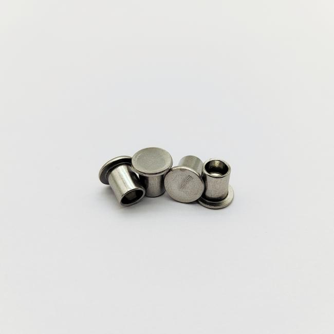 Close-up view of stainless steel semi-tubular rivets with flat heads
