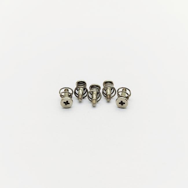 Close-up view of M2 heatsink spring screws showing thread detail and spring mechanism