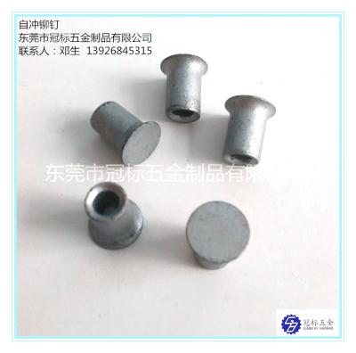 China High Strength Self Penetrating Rivets JIS Standard 5.3x6mm 5.3x7mm 5.3x8mm for sale