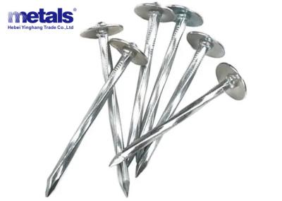 China Bulk Clout Electro Galvanized Roofing Nails 5mm-12mm for sale