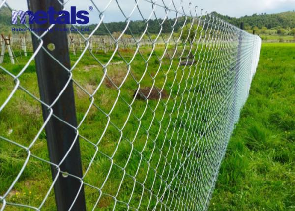 Quality 7 Feet Galvanized Chain Link Mesh Fence Hole Shape 10m ODM for sale