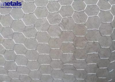 China Galvanized Vinyl Coated Hex Wire Fencing Poultry Netting 1/2