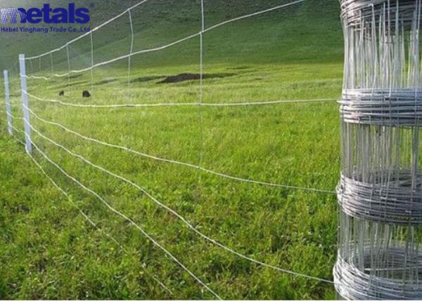 Quality Galvanized Steel Cattle Fence Wire Mesh Fixed Knot For Farm OEM for sale