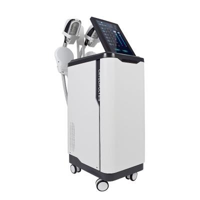 China Cool Sculpting EMS Slimming Laser Machine Non Invasive Eliminating Fat for sale
