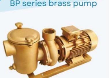 China BP30 Swimming Pool Water Pumps For Swimming Pool à venda