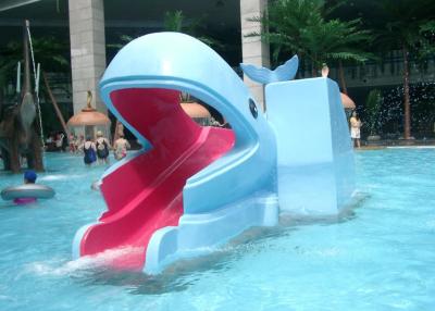 China Anti UV Kids Water Park Equipment Fiberglass Whale Water Slide for sale