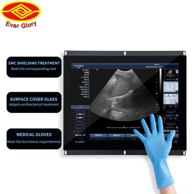 China 15 Inch LCD Touch Monitor Vandal Proof 250 Cd/M2 Brightness For Benefit for sale
