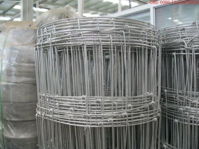 China 150mm Hole Farm Field Metal Wire Mesh Fence Rust Resistance for sale