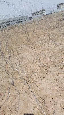 중국 고 탄소 강철 반 탱크 철망 모든 종류의 반 탱크 무기 방어 판매용