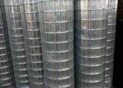 China Electric Galvanized 100 X 50 Welded Mesh Bright Color And Smooth Surface for sale