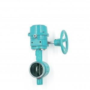 China Factory Price Ductile Iron Grooved Water Manual Butterfly Valve for sale