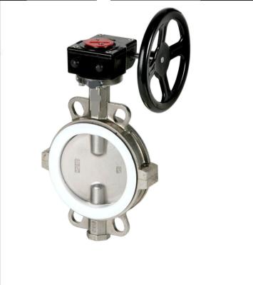 China ductile iron stainless steel wcb pn10 16 chinese anti-corrosion Split body butterfly valve for sale