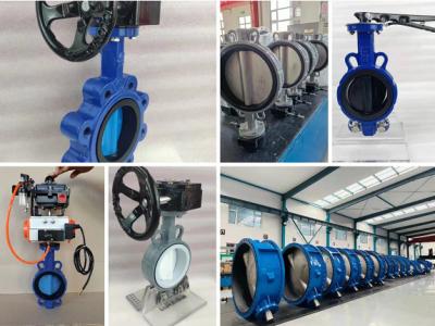 China wholesale butterfly valves with iron body for sale