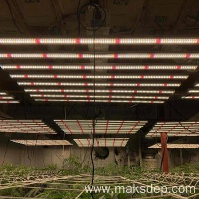 China O diodo emissor de luz profissional industrial cresce ilumina o espectro completo para plântulas à venda