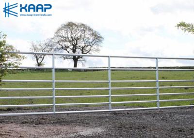 China Livestock Farm  Welded Mesh Fencing , Galvanized Welded Wire Mesh Easy Arranged for sale