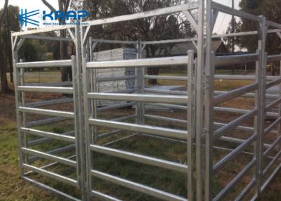 China High Galvanized Welded Mesh Fencing Farm Security Application High Strength for sale