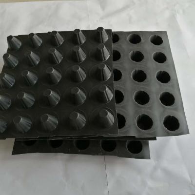 China Roof Systems Plastic Hdpe Dimple Drainage Board Sheet for sale
