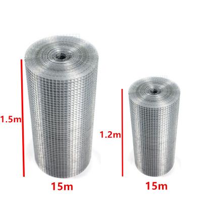 China Aviary Fence Square 1x15m Roll Ss Welded Wire Mesh for sale