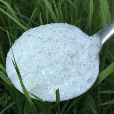China 40/60 resina Isophthalic del poliéster en venta