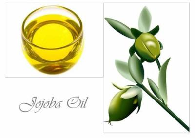 China jojoba oil for beard,jojoba oil for body,jojoba oil for dandruff,jojoba oil for dry scalp for sale