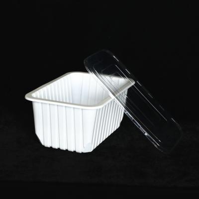 China 260 X 170 X 110 MM 90 OZ PP Disposable Plastic Tray With Lid Large Customizable for sale