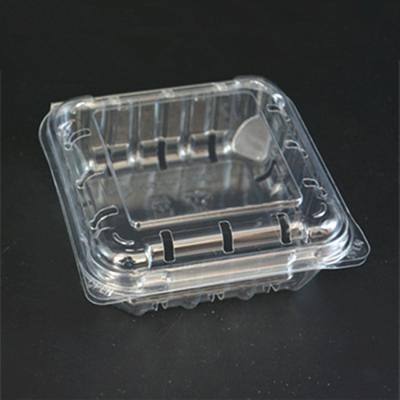 China 105mm Vegetable Packaging Plastic Box PET Food Packaging Clamshell For Blueberry for sale