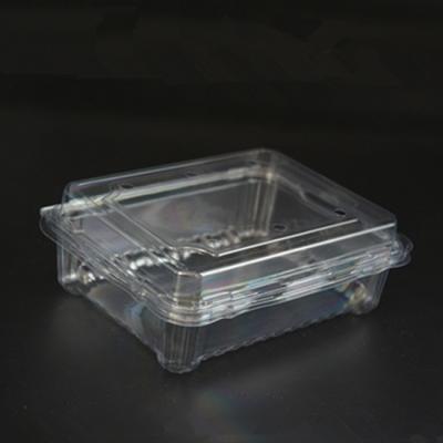 China 350G PET Clear Disposable Plastic Box Vegetable Disposable Fruit Containers for sale