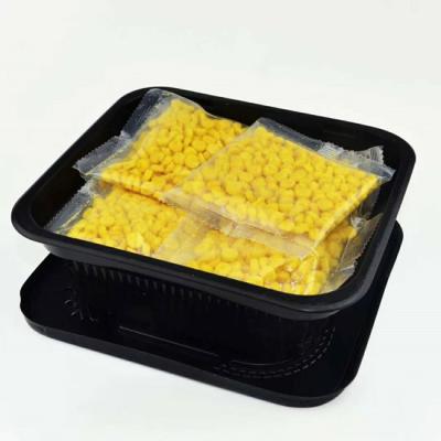 China 183 X163 X 63 Mm Rectangular Disposable Plastic Containers Plastic Throw Away Containers for sale
