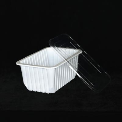 China 260 X 170 X 110MM Disposable Food Storage Containers Take Away Plastic Containers Te koop