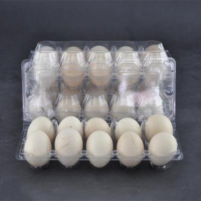 China 10 Cavities Clear Plastic Egg Cartons PET Disposable Egg Plastic Box Clear for sale