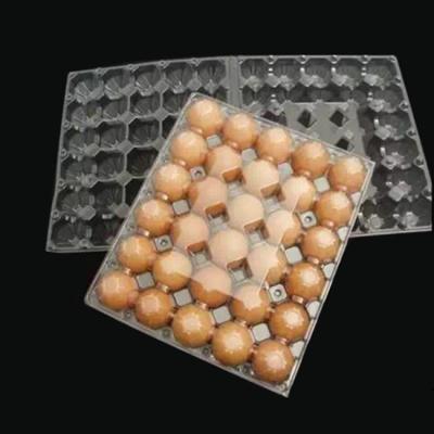 China 5X6 Disposable Plastic Egg Tray 30 Holes Transparent Egg Tray Plastic for sale
