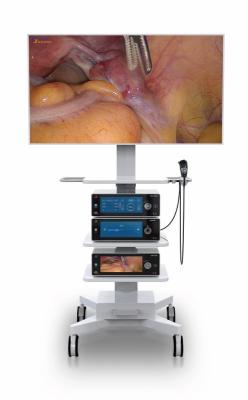 Chine Ultra tour médicale DEC3840A de système de caméra de l'Endoscope 4K à vendre