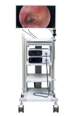 Chine Pleine HD tour médicale DJSXJ-IIa de système de caméra d'Endoscope de HDMI à vendre