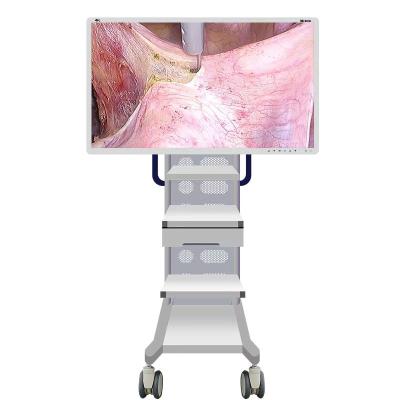 中国 スクリーン55inchが付いている医学の内視鏡のモニターのカメラ 販売のため