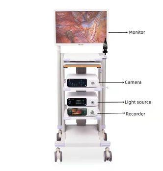 China Cámara llena del endoscopio de la grabación de vídeo HD de la proyección de imagen médica USB para la laparoscopia del otoscopio en venta