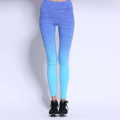 China Wholesale Quality Ladies Bandage Fitness Yoga Tights OEM Custom Design Women High Waist Workout Leggings for sale