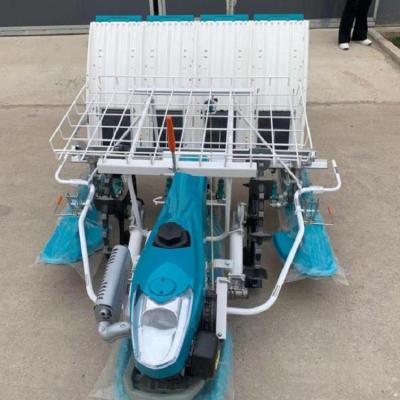 China Factory price best quality 6 rows 4 rows paddy transplanter walking type small rice transplanter for sale