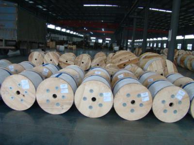 Cina ASTM B 498 ha galvanizzato il cavo d'acciaio galvanizzato del centro del cavo di ancoraggio per distribuzione di energia Pali in vendita