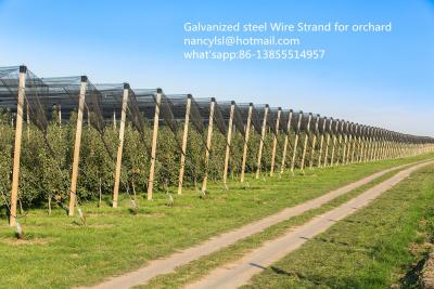 China ISO galvanisierte Stahlstrang für Obstgarten, das galvanisierte Stahlkabel, das auf Spule verpackt wurde zu verkaufen