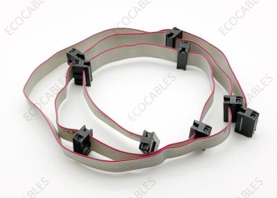 China TM-6214-LF Flat Ribbon Cables Assembly CP 10 Pin Data Cable Assy With 1658621-1 for sale