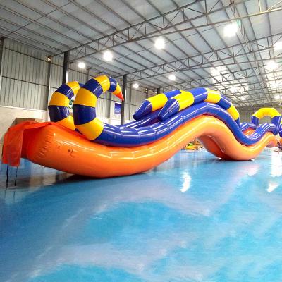 China Giant Inflatable Water Slide With Durable 0.9 mm PVC Tarpaulin for sale