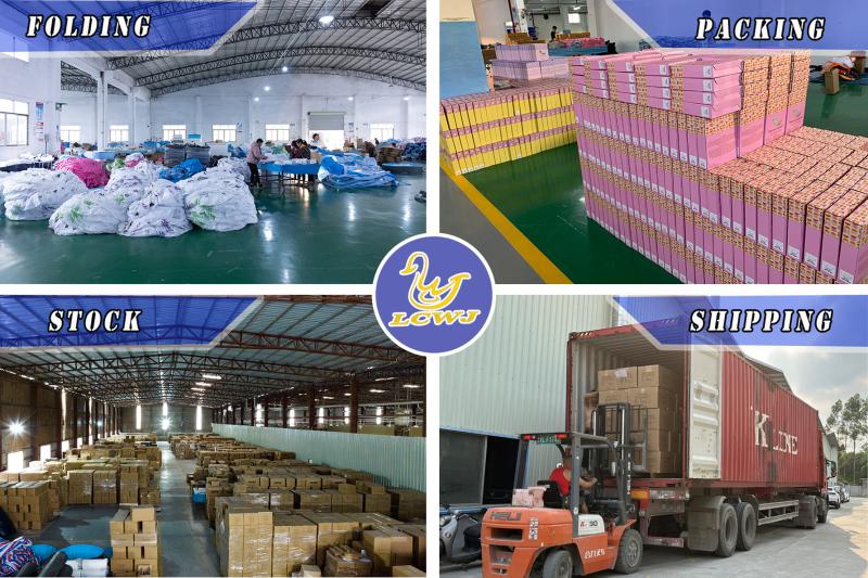 Verified China supplier - Huizhou Licheng Inflatable Toys Product Co., Ltd.