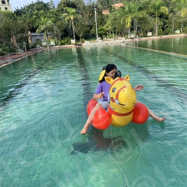 Quality Aqua Water Swimming Pool Float 160CM Horse Pool Summer Toys for sale